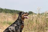 BEAUCERON 228